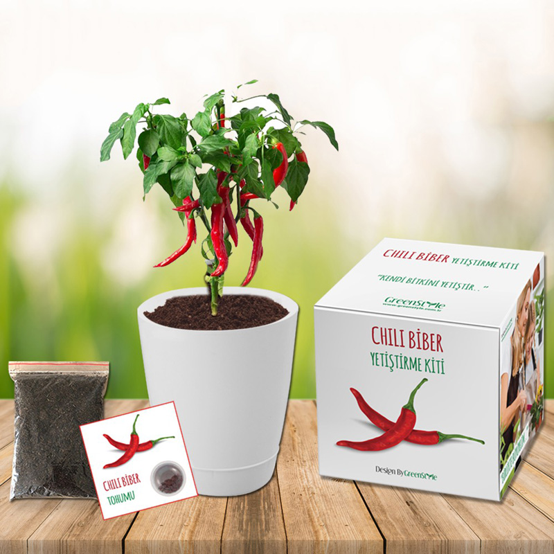 Chili Pepper Grow Kit