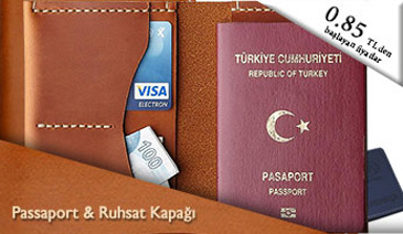Passport, licence case