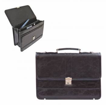 Document Bag with Laptop Section