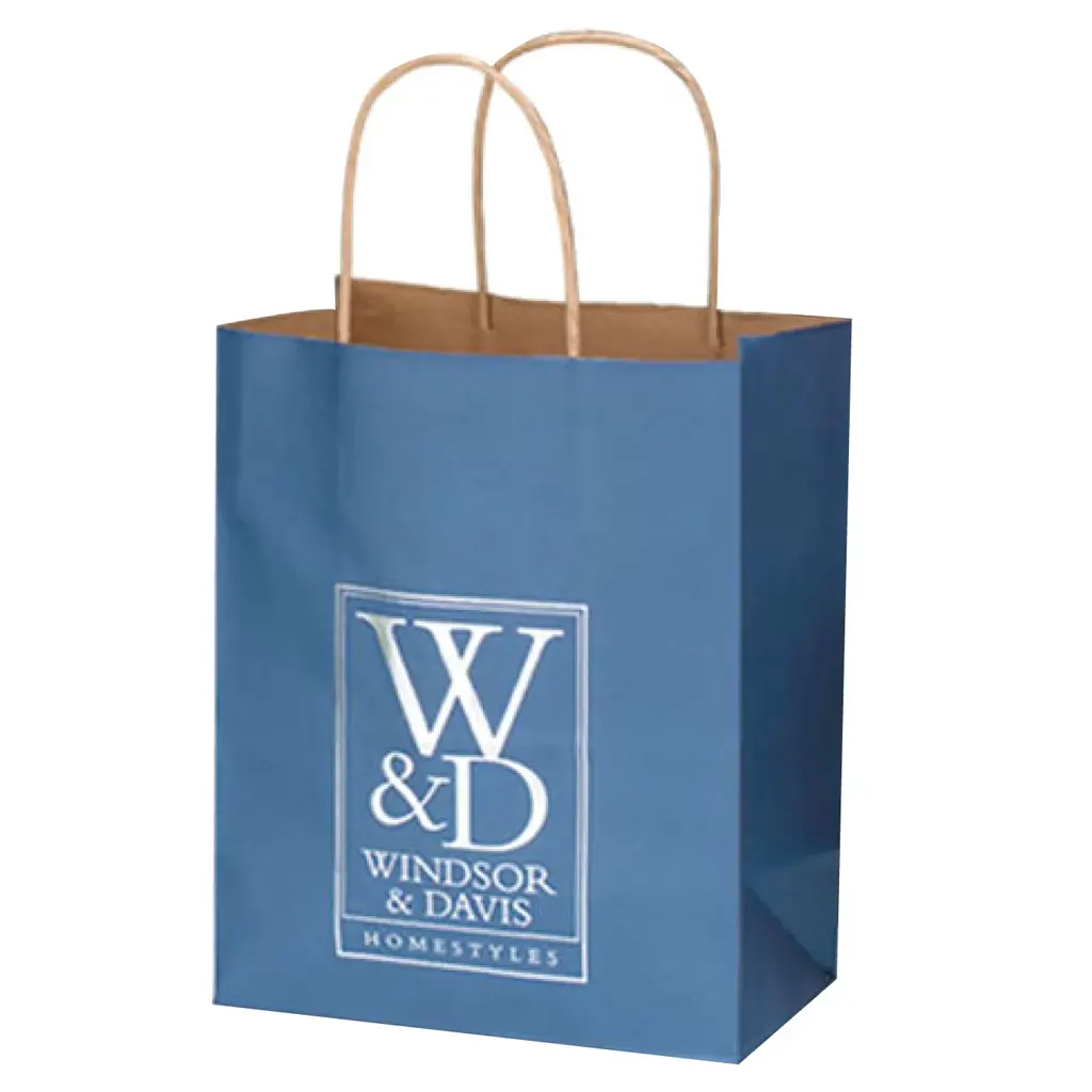 Kraft Paper Bag with Twisted Handle (22 x 28,5 x 10 cm)