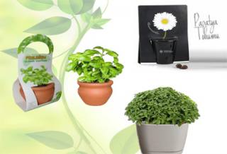Botanical Promotional Products